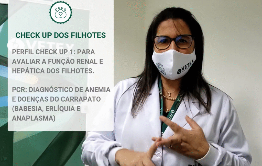 Check-up Pet e PCR para Hemoparasitoses em Filhotes_ Vetex_Laboratorio_Veterinario