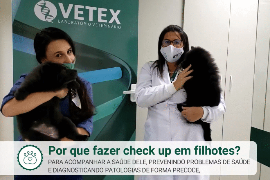 Por que fazer Check-up Pet e PCR para Hemoparasitoses em Filhotes_ Vetex_Laboratorio_Veterinario