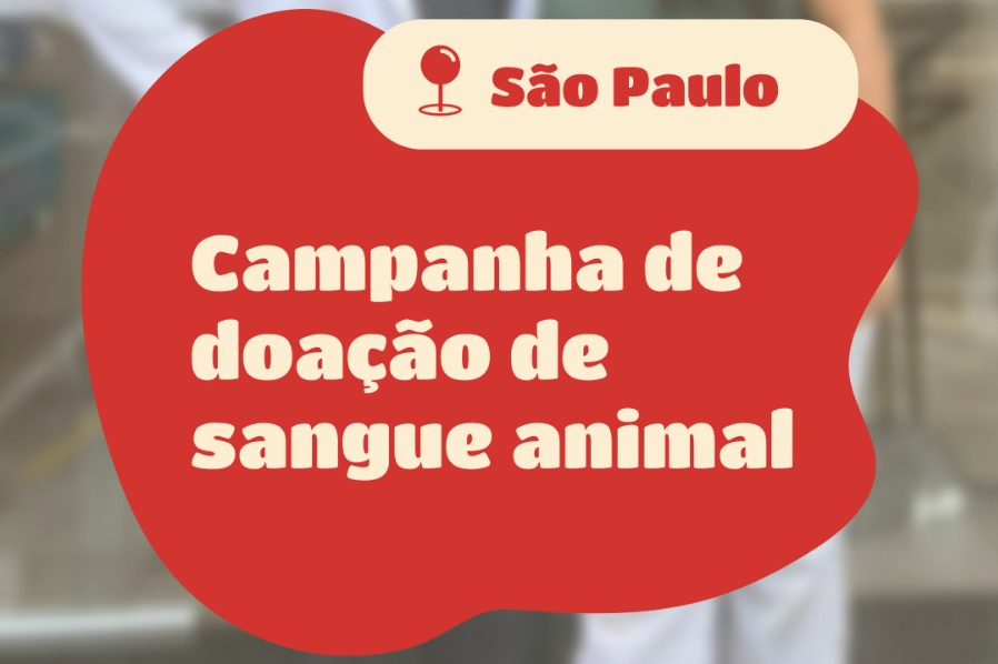 Campanha de doação de sangue animal - Projeto Pet Doador e Pets S:A