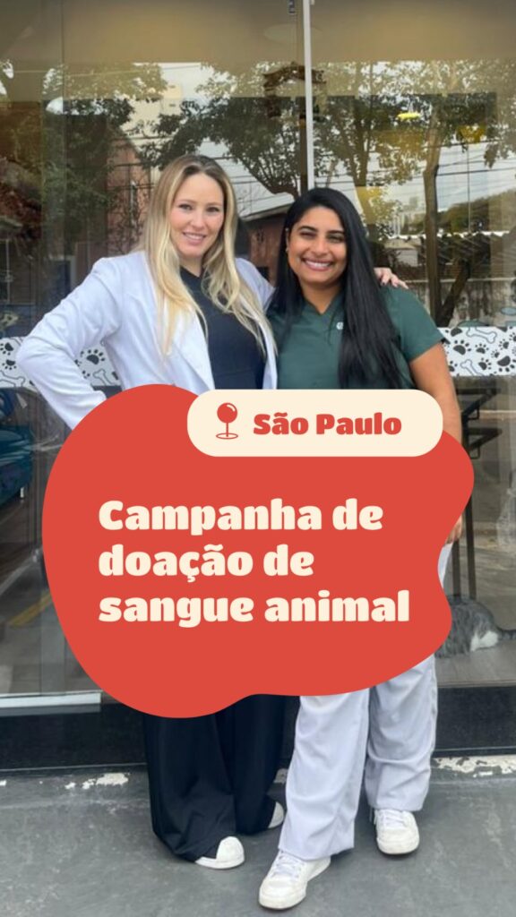 Campanha de doação de sangue animal - Projeto Pet Doador e Pets SA