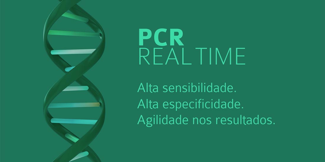 laboratorio-veterinario-vetex-expertise-exame-pcr-real-time-img