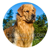 @canil_angel_like_dog-parceiro-vetex-laboratorio-veterinario