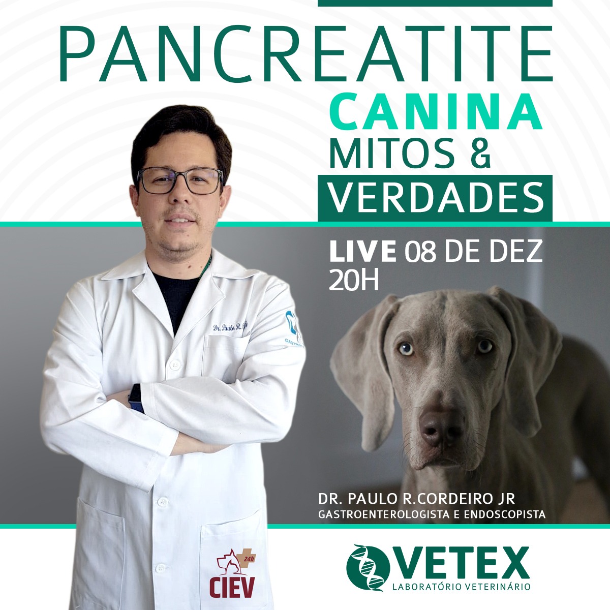 live-instagram-pancreatite-canina