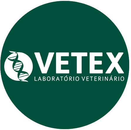 logo author equipe vetex
