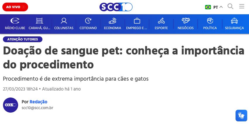 Doacao de sangue pet conheca a importancia do procedimento