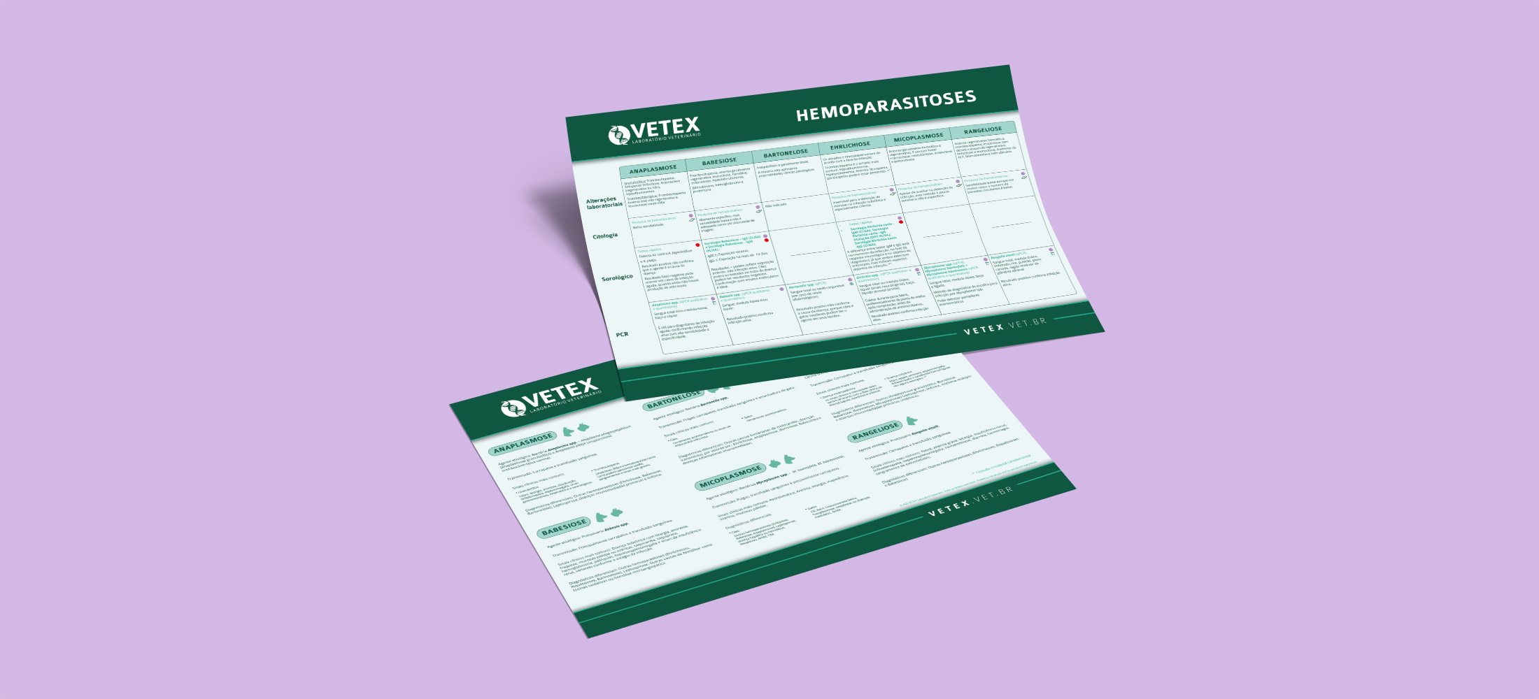 hemoparaitoses-vetex-laboartorio-veterinario