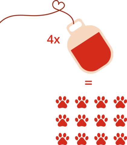 Bolsa_sangue_site_vetex_projeto_pet_doador