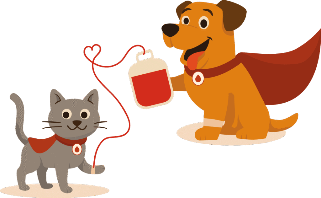 Mascotes Projeto Pet Doador Cao Gato