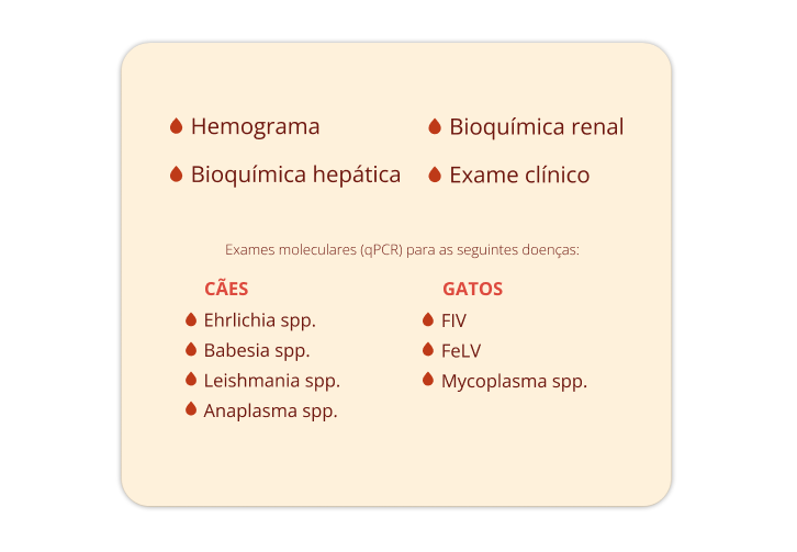 beneficios_de_ser_um_pet_doador_vetex