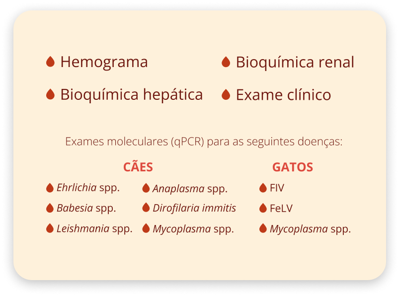 Exames_beneficios_projeto_Pet_Dadoar_Vetex