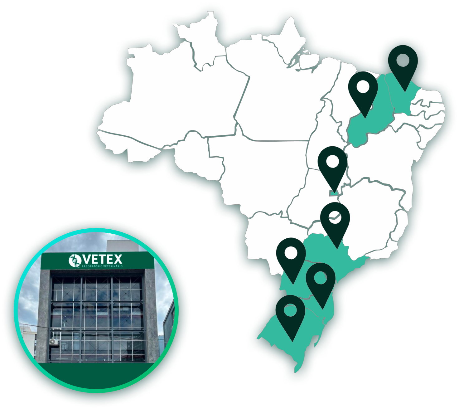 simposio-vetex-2025-POA + Unidades