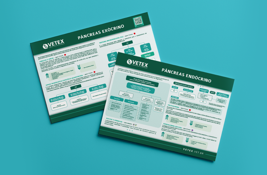 Pancreas_Endocrino_Exocrino_vetex_laboratorio_veterinario_feature